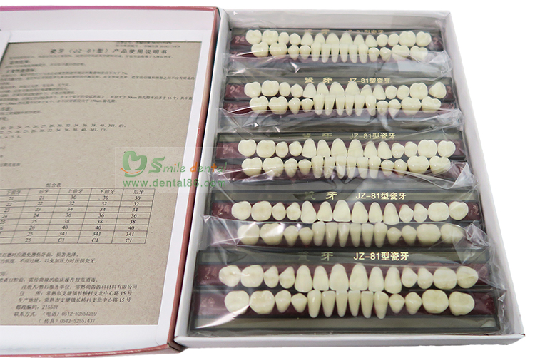 SC02 Alloy Pin Porcelain Teeth